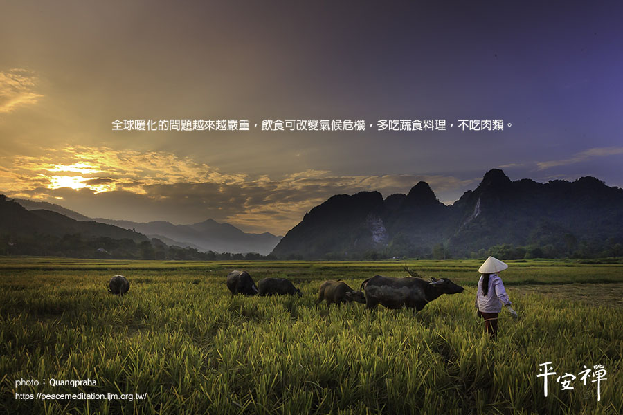 文明毀滅者,畜牧業,氣候變遷,糧食安全,生態環境,愛地球九大生活主張,靈鷲山,平安禪,禪修