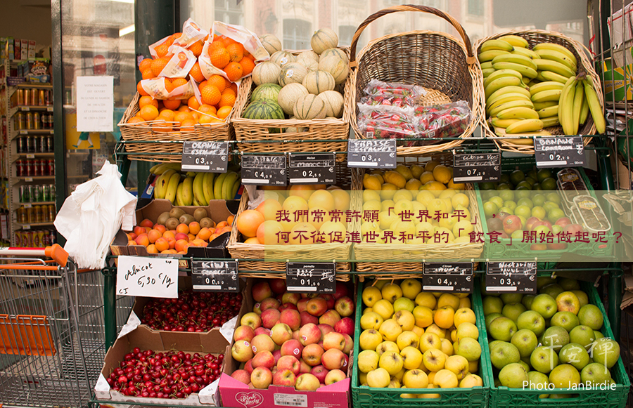 世界和平,素食城市,義大利杜林,印度帕利塔納,禪修,
