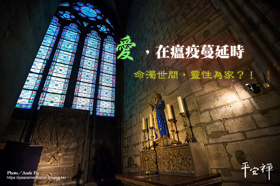 網絡記憶體,輪迴,生命藍圖,靈性,禪關,心道法師,坐禪,禪修