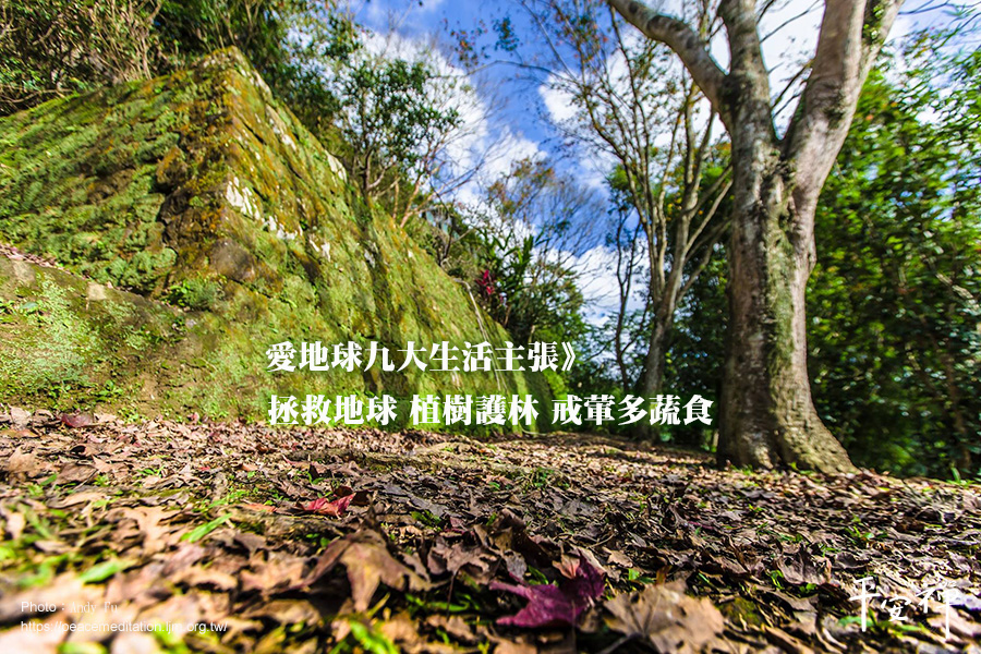 50周年,世界地球日,素食,蔬食,植樹,氣候變遷,新冠肺炎,碳排放,二戰老兵Captain Tom