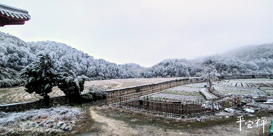 江西,禪宗祖庭,雲居山真如禪寺,虛雲老和尚,一日不作，一日不食,百丈清規,農禪並重