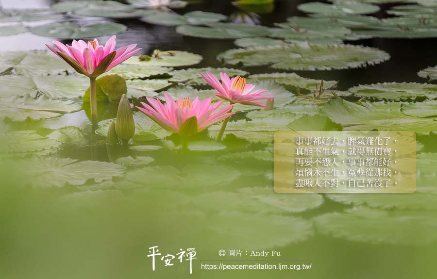 佛法,宣化上人,怨恨,脾氣,煩惱,