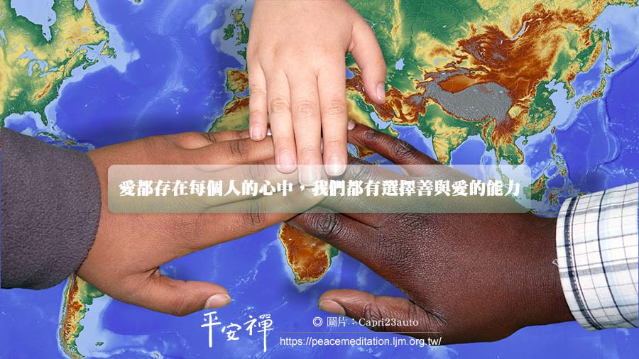 種族,和平鴿,愛,天堂,善良,心道法師,禪修