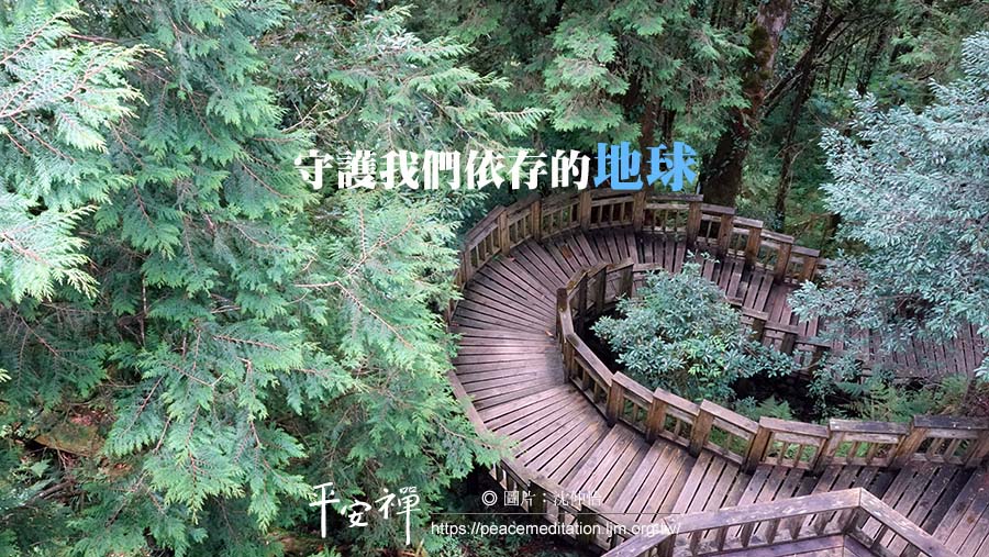 心道法師,生命和平大學,地球,淨灘,森林大火,酷熱