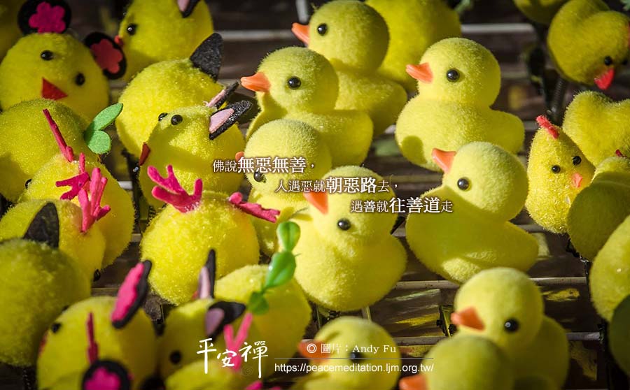 親子教育,心道法師,溝通,普門品,水懺