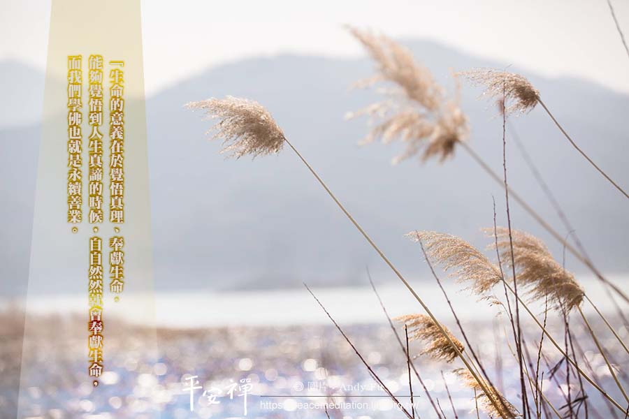 心道法師,生命,自然,愛心,地球,寧靜,覺醒