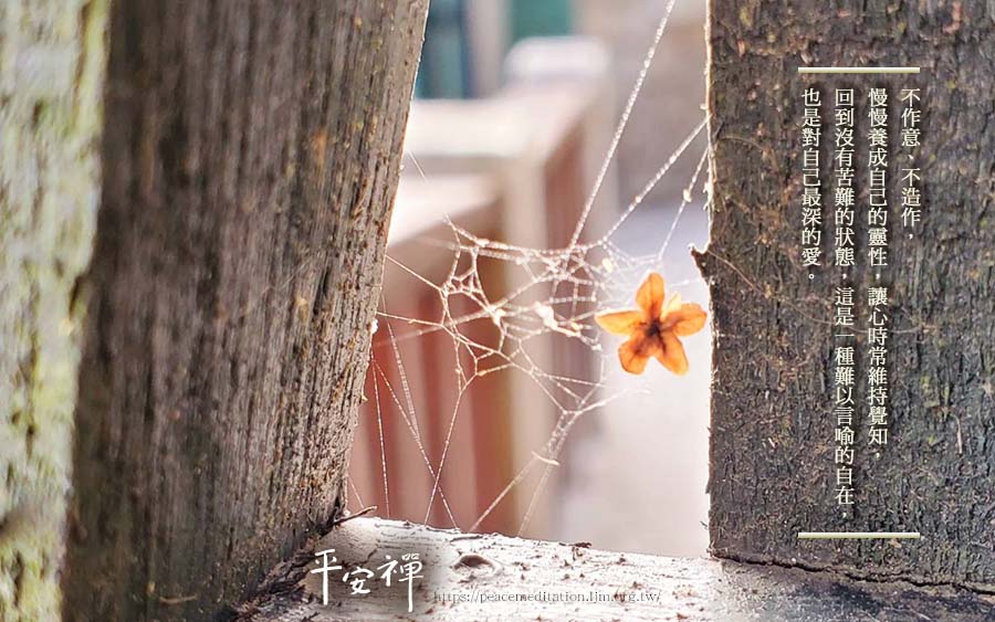 禪修,坐禪,平安禪,心道法師,禪關,職場,知覺