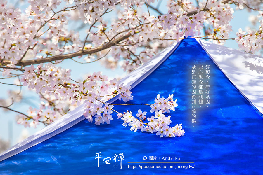 心道法師,利他,善,吸引力,媒體行銷