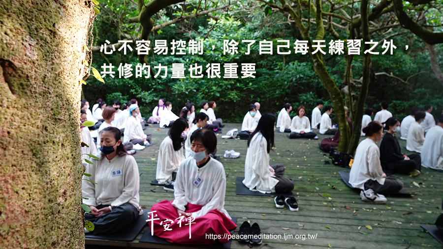 禪修,樂活,平安禪,吃飯,愛地球,心道法師,法工,咖啡,散亂,森林大禪堂