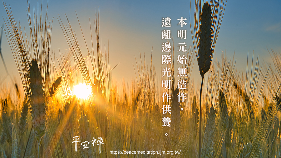 心道法師,禪十,修行,昭明,妙心,光明,本來面目,閉關