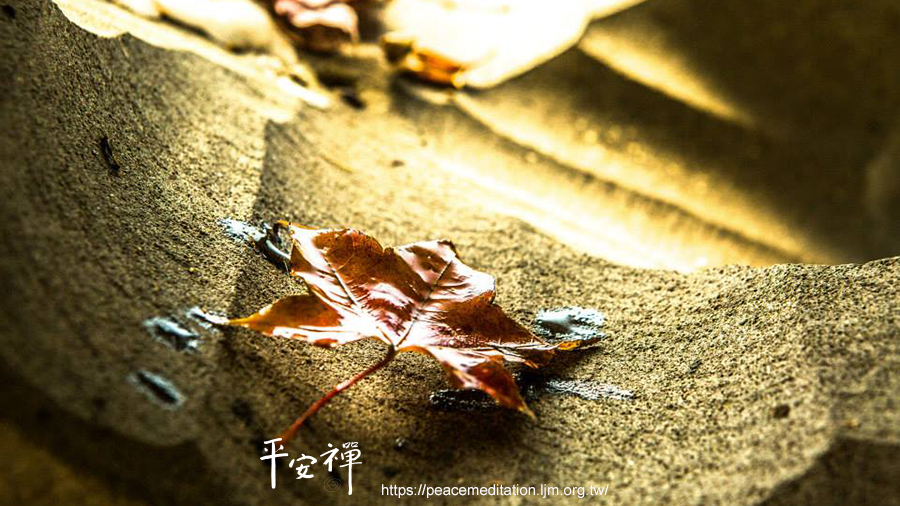 禪修,菩薩,打坐,佛來佛斬、魔來魔斬,血液循環