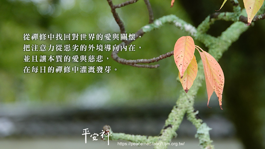 How to Heal（如何療癒）,靈性,禪修,打坐,平安禪,愛地球,心道法師,坐禪