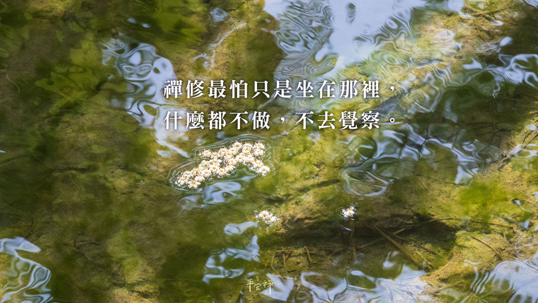 打坐,禪修,平安禪,覺知,心道法師,金剛經,腳痛,本來面目,參話頭