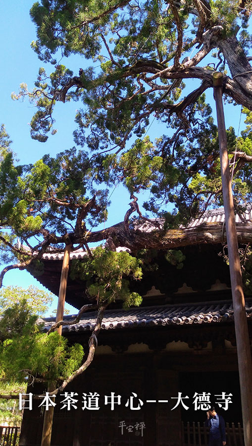 日本京都,大德寺,茶道,臨濟宗,宗峰妙超,一休和尚,平安禪,禪修