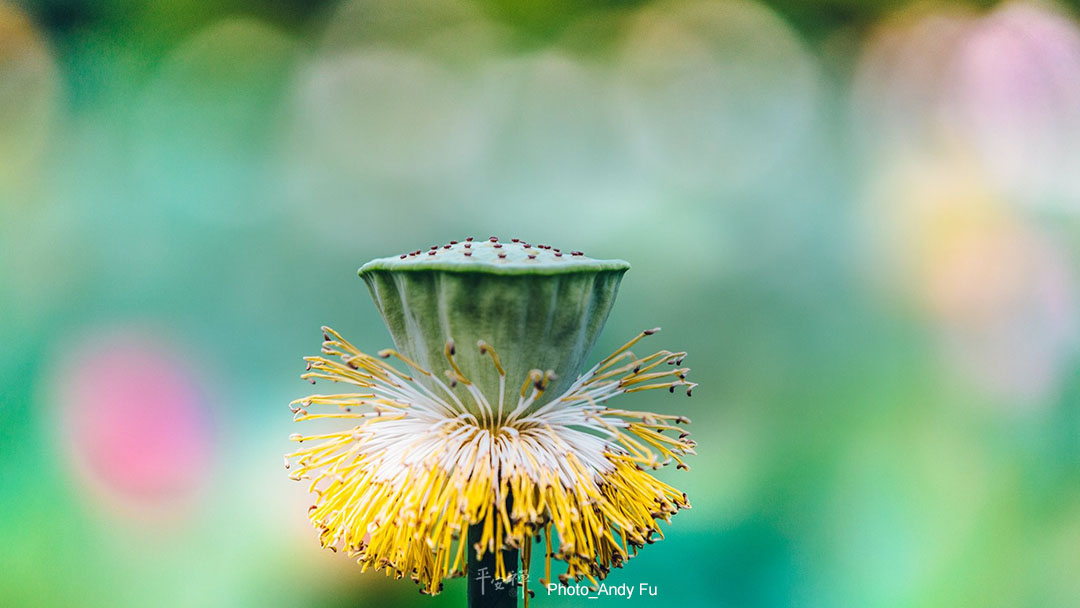 打坐,禪修,心道法師,護法會,覺知清楚