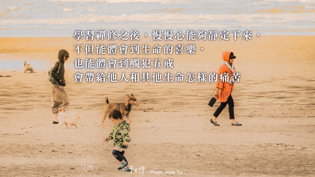 打坐,禪修,五戒,心理學,信仰,遠離損友,平安禪