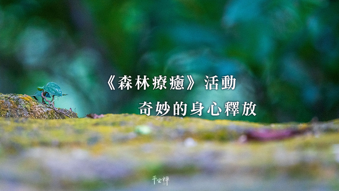 森林療癒,平安禪,禪修,身心靈,放鬆,禪友會