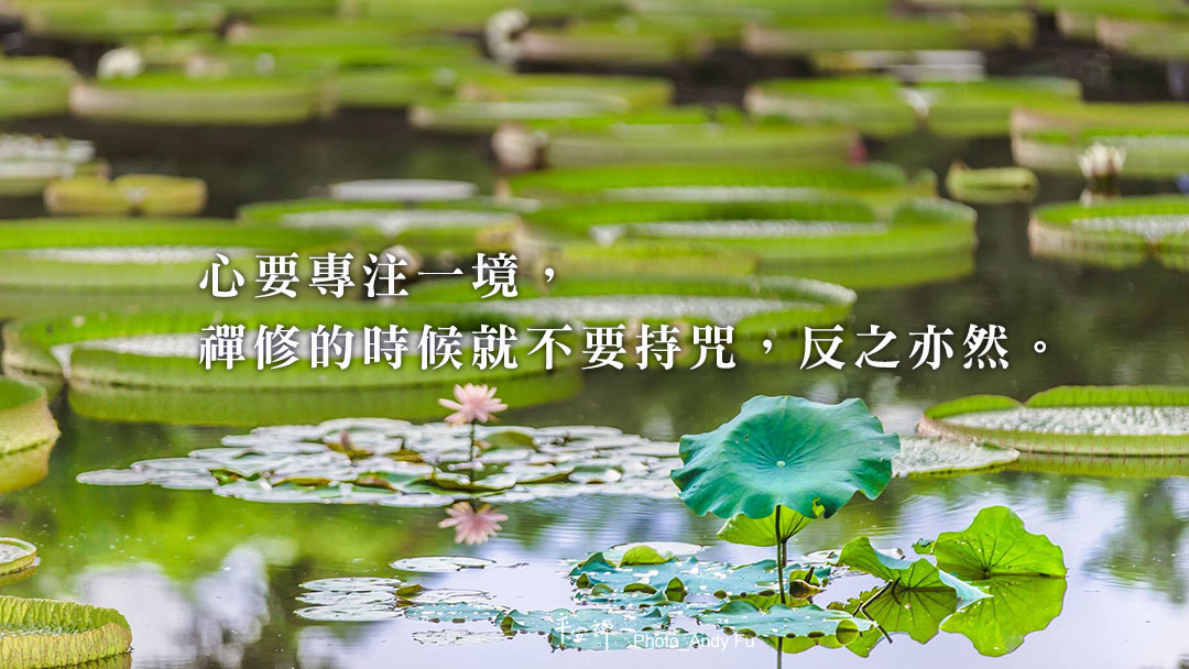 打坐,禪修,大悲咒,平安禪,修行,專注,持咒