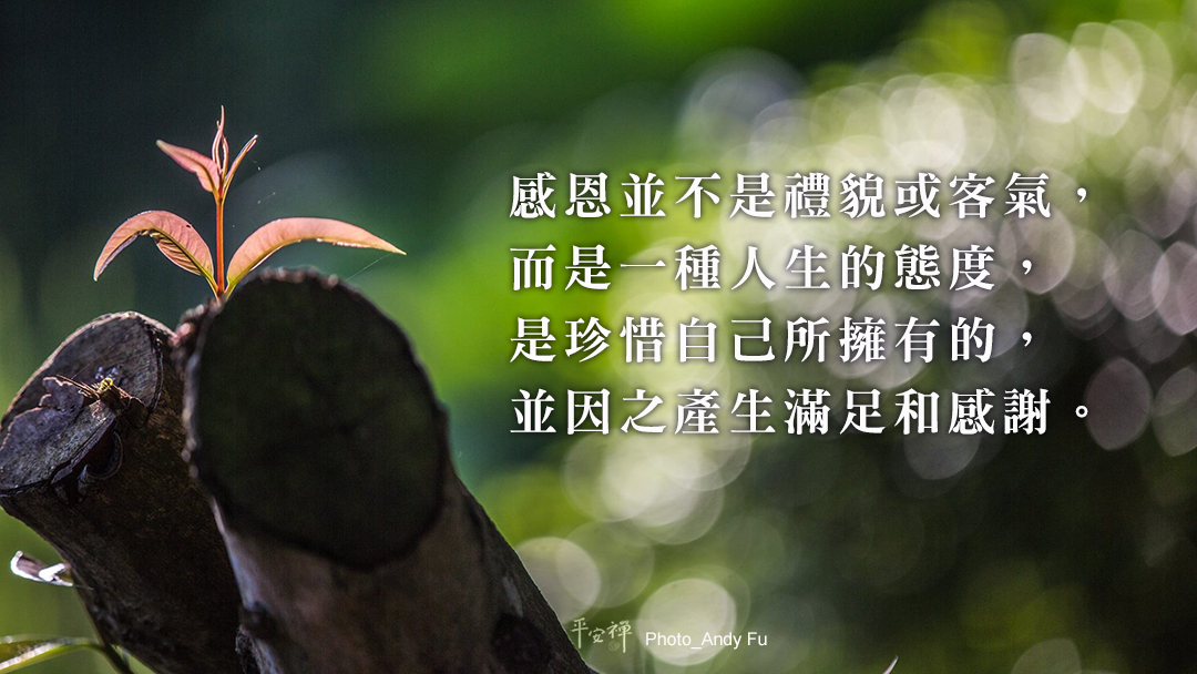 平安禪,教育,感恩,物質,青春期,同理心,與法師有約