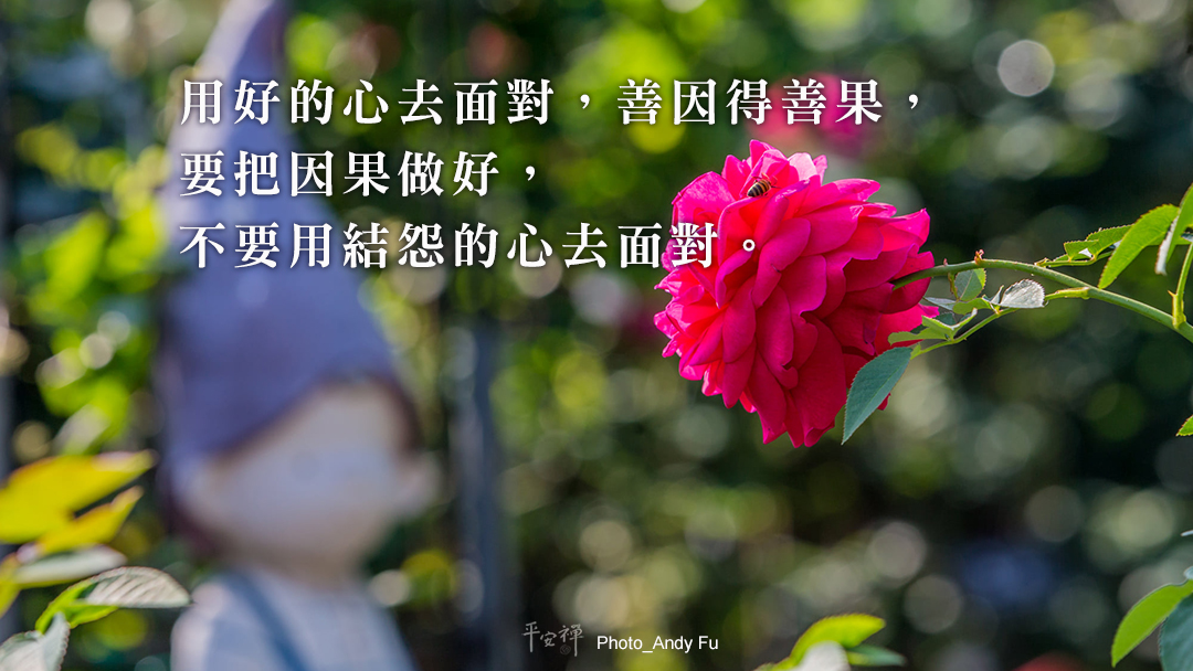 情緒,空觀,中觀,爭執,金剛經,執取,平安禪,四步驟,聆聽寂靜