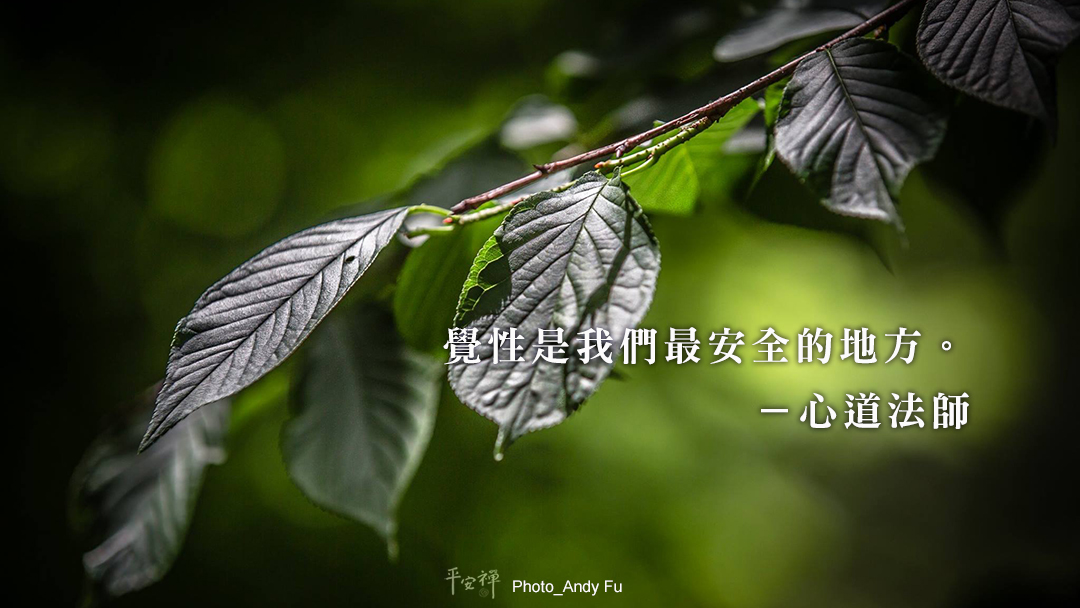打坐,禪修,平安禪,心道法師,新冠肺炎,疫情,靈性,安全的家