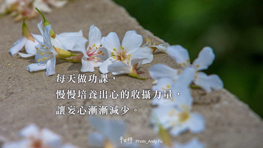 禪生活共學,平安禪,禪友會,佛法,專心,傾聽,心經,