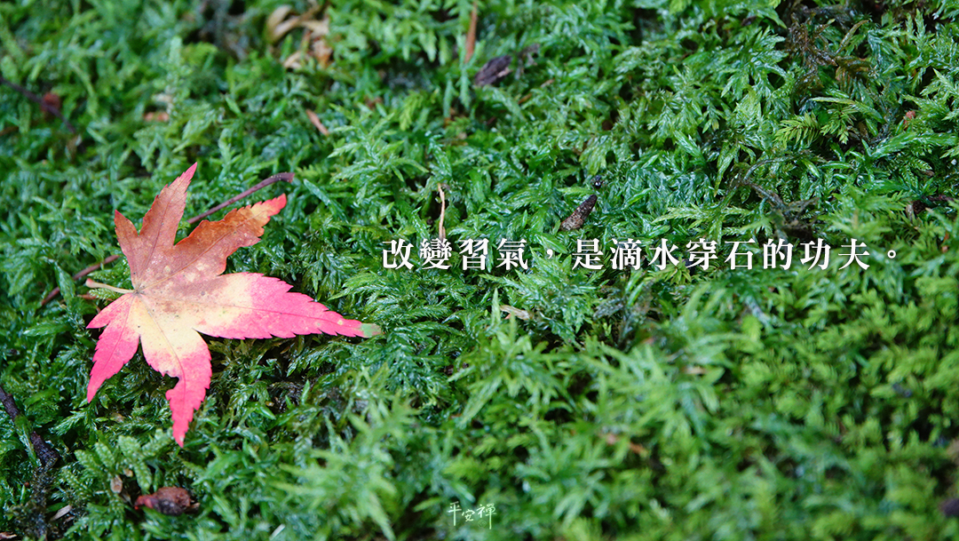 打坐,禪修,平安禪,事修,理修,習氣,滴水穿石