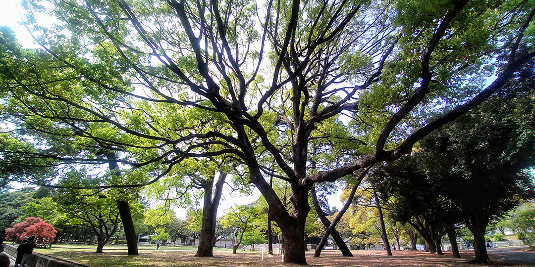 打坐,禪修,總持寺建築巡禮,平安禪,心道法師,無際大師,石頭希遷禪師