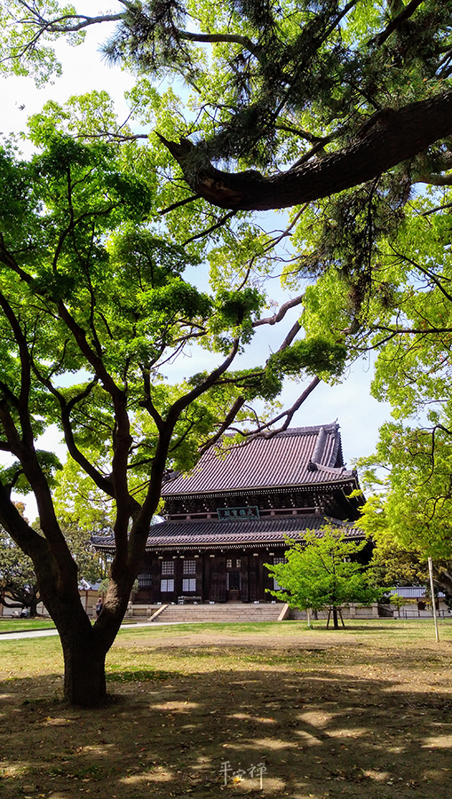 打坐,禪修,總持寺建築巡禮,平安禪,心道法師,無際大師,石頭希遷禪師
