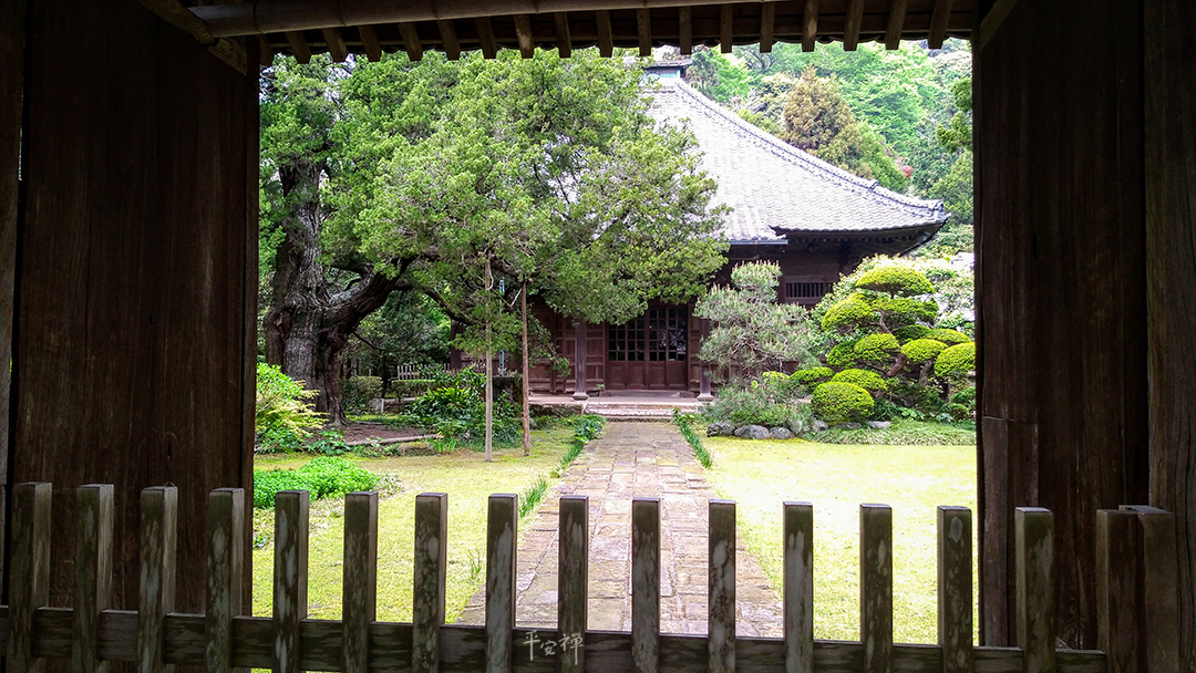 打坐,禪修,鐮倉,禪宗道場,壽福寺,北條政子,臨濟宗,源賴朝,平安禪,心道法師