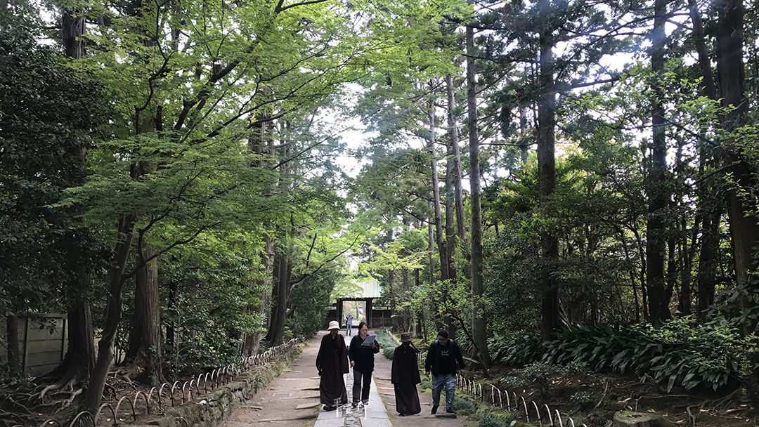 打坐,禪修,鐮倉,禪宗道場,壽福寺,北條政子,臨濟宗,源賴朝,平安禪,心道法師