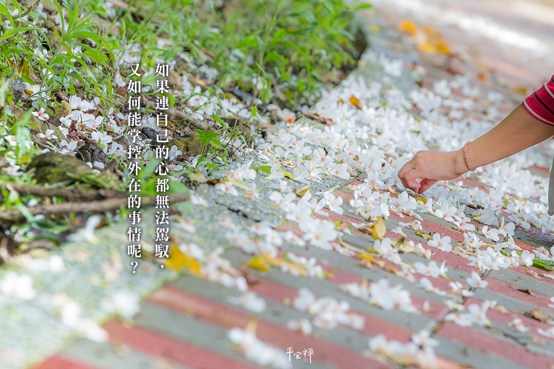 打坐,禪修,平安禪,靜坐,找回自己的心,心道法師,寧靜