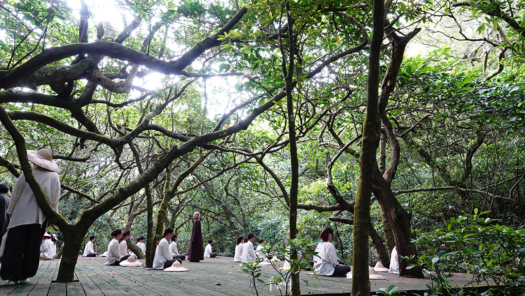 企業禪,平安禪,靜坐,冥想,聆聽寂靜,心道法師,四步驟,專注