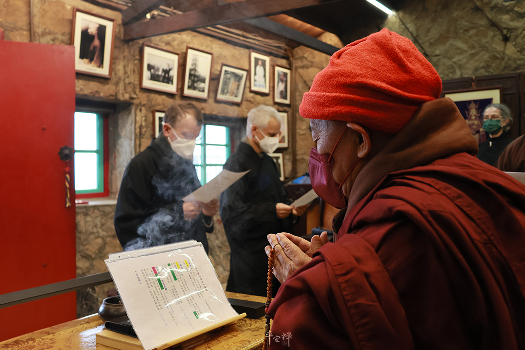 平安禪,靜坐,冥想,傳承,禪修,心道法師,維也納,歐洲,信任,火車,四步驟,奧地利