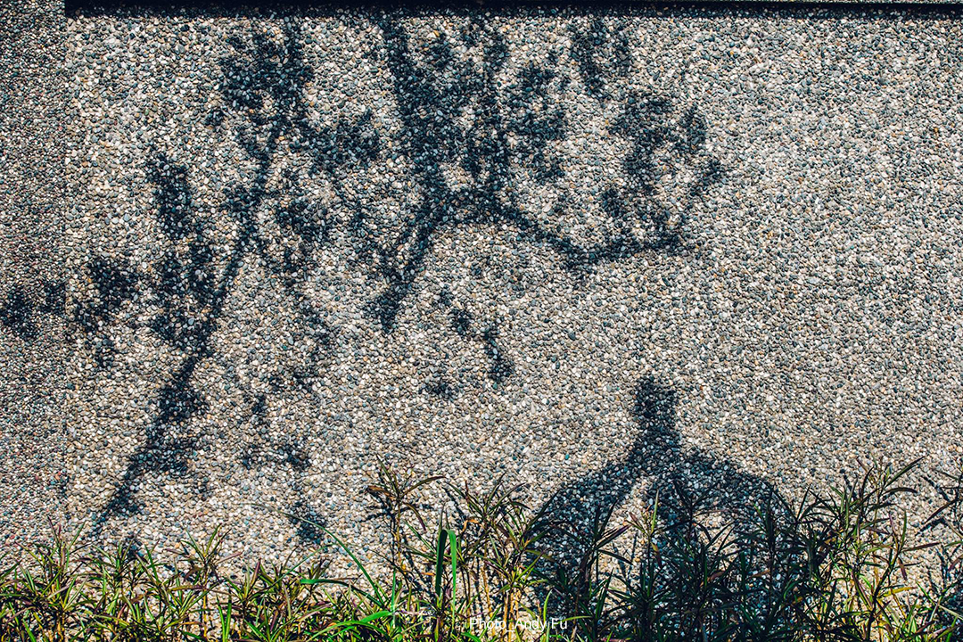 平安禪,靜坐,冥想,傳承,禪修,心道法師,禪宗美學,