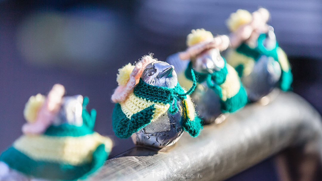 平安禪,靜坐,冥想,傳承,禪修,心道法師,斷食,四步驟,寂靜