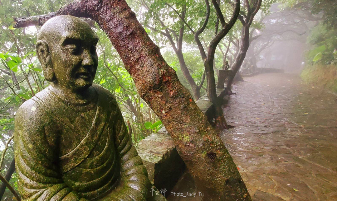 平安禪,靜坐,冥想,傳承,禪修,心道法師,樂活禪,四步驟,九分禪