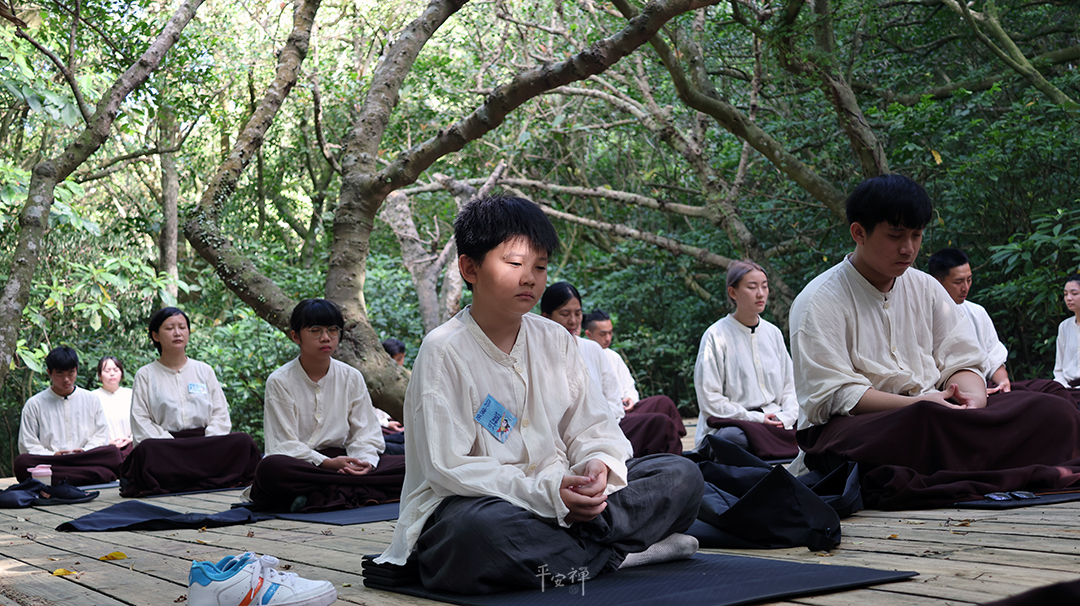 平安禪,靜坐,冥想,禪修,四步驟,覺知,坐禪,超人營,缽水,心道法師,青年,生態