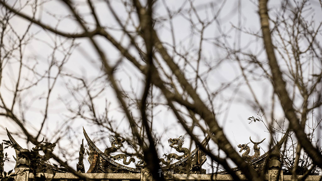 平安禪,靜坐,冥想,禪修,四步驟,覺知,坐禪,樂活禪,斷食禪,心道法師,「超人營」(青年禪修營)