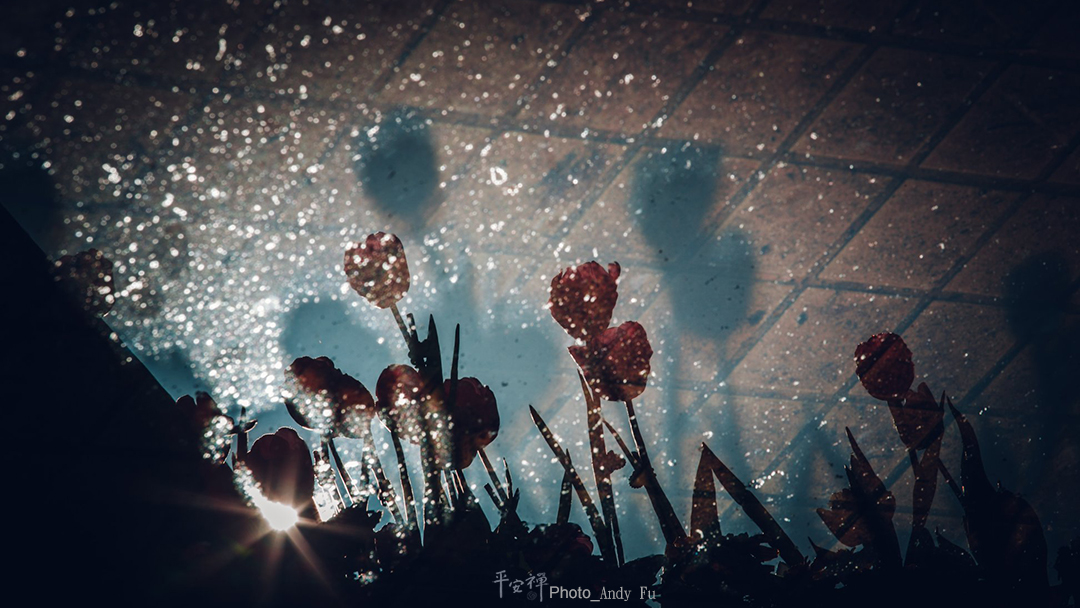 平安禪,靜坐,冥想,禪修,四步驟,覺知,坐禪,與法師有約,禪生活共學,心道法師