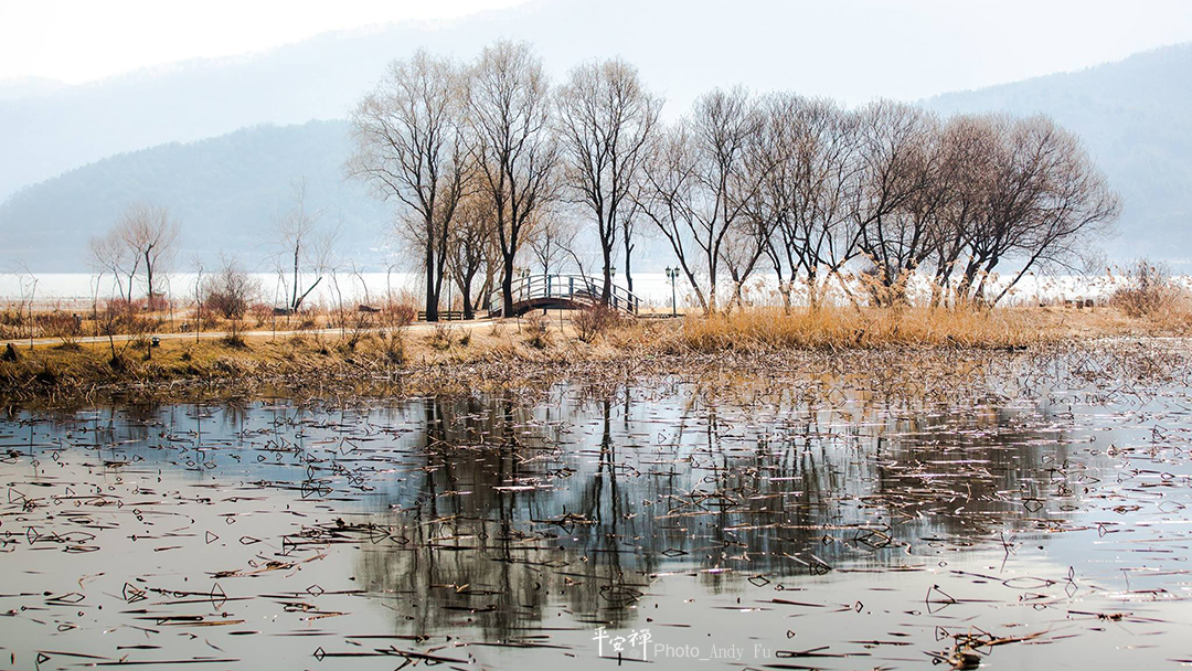 平安禪,靜坐,冥想,禪修,四步驟,覺知,坐禪,與法師有約,禪生活共學,心道法師,蜜勒日巴