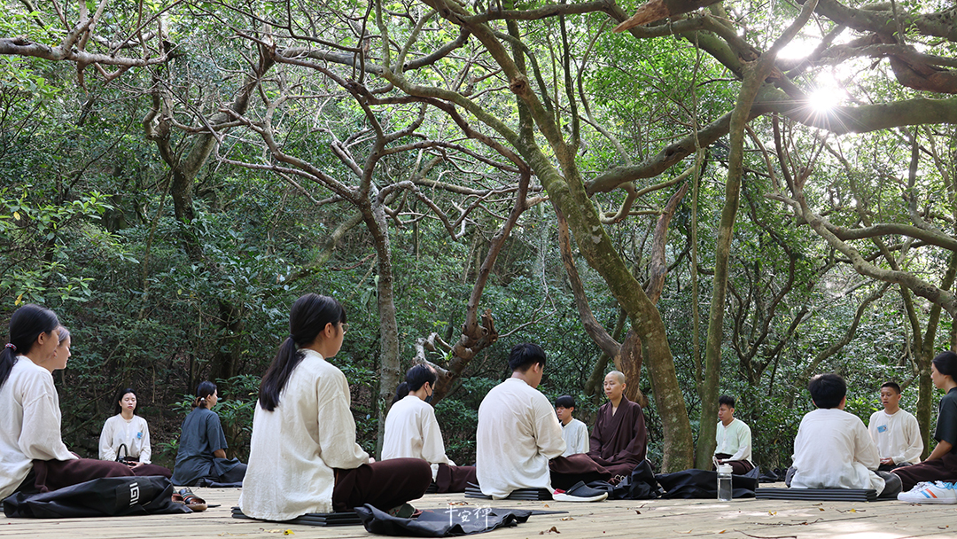 平安禪,靜坐,冥想,禪修,四步驟,覺知,坐禪,護關,法工,心道法師,志工,斷食禪,超人營