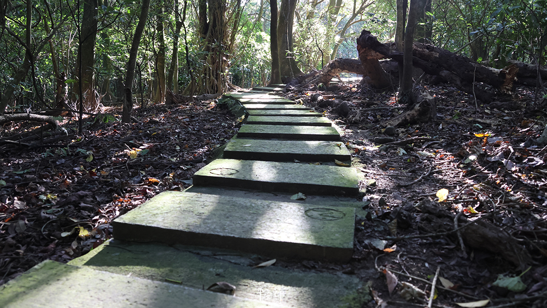 平安禪,靜坐,冥想,禪修,四步驟,覺知,坐禪,護關,法工,心道法師,志工,斷食禪,超人營