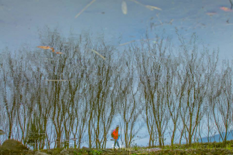 平安禪,靜坐,冥想,禪修,四步驟,覺知,坐禪,樂活禪,斷食禪,心道法師