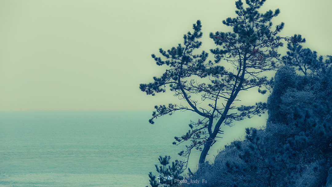 平安禪,靜坐,冥想,禪修,四步驟,覺知,坐禪,樂活禪,斷食禪,心道法師,護關,法工,禪公案