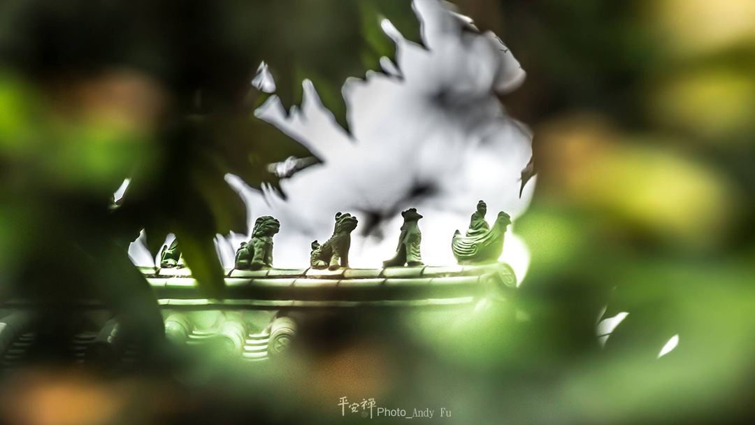 平安禪,靜坐,冥想,禪修,四步驟,覺知,坐禪,樂活禪,斷食禪,心道法師,護關,法工,