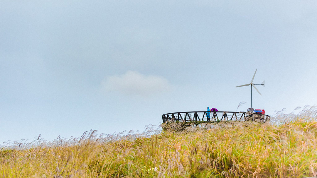 #平安禪 #靜坐 #冥想 #禪修 #四步驟 #覺知 #坐禪 #靈性生態 #法工 #禪公案 #四期教育