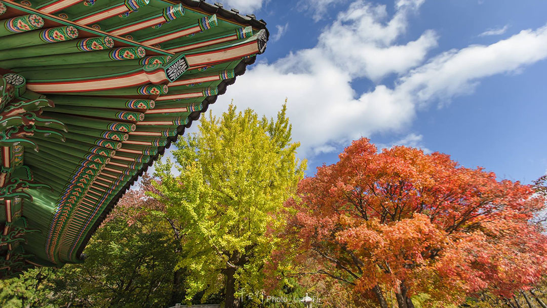 平安禪,靜坐,冥想,禪修,四步驟,覺知,坐禪,護關,法工,心道法師,樂活禪,斷食禪,禪友會,讀書會