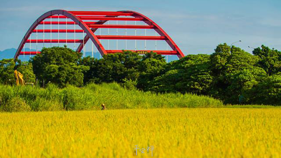 平安禪,靜坐,冥想,禪修,四步驟,覺知,坐禪,護關,法工,心道法師,樂活禪,斷食禪,禪友會,讀書會