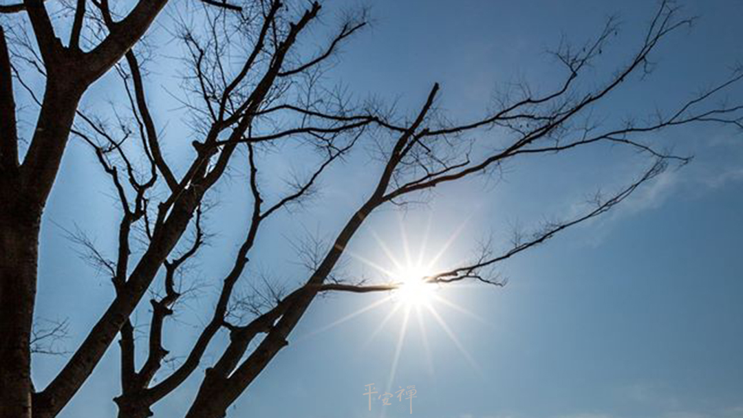 平安禪,靜坐,冥想,禪修,四步驟,覺知,坐禪,護關,法工,心道法師,樂活禪,斷食禪,禪友會,讀書會